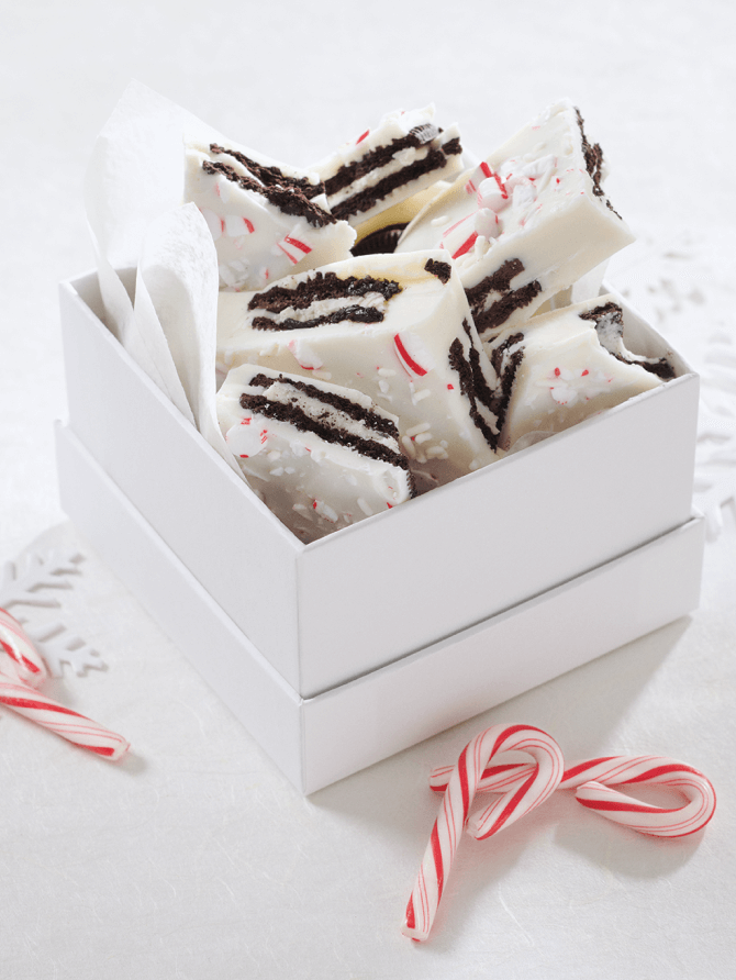 Large Lifestyle Image